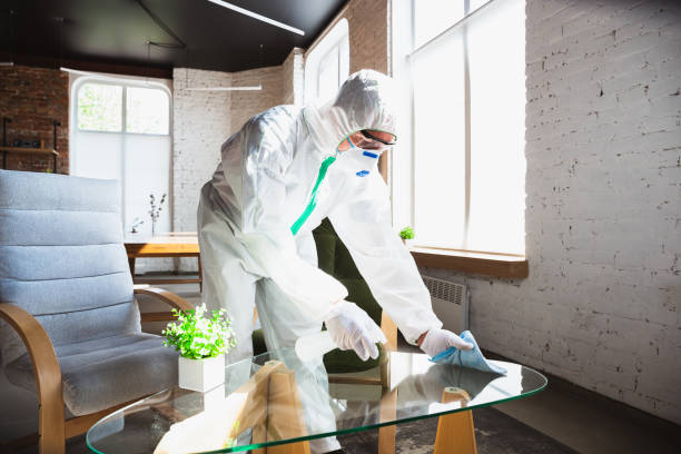 Why You Should Choose Our Mold Remediation Services in Kaneohe, HI